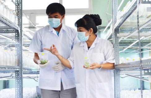 Kỹ sư Hoàng hướng dẫn phóng viên thăm phòng nuôi cấy mô