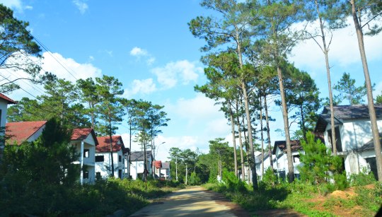 Nhiều biệt thự xây thô xong bỏ hoang