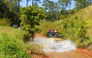 Băng rừng lội suối