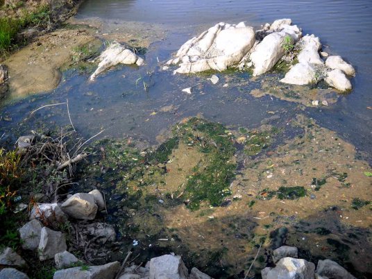 Dòng sông Ba đoạn qua huyện Kbang thị xã An Khê bị cạn kiệt bốc mùi hôi thối