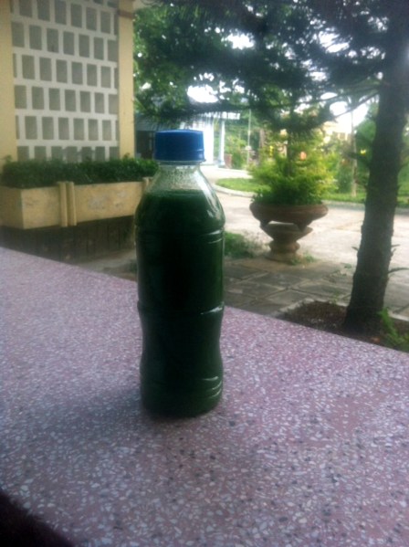 Ảnh chai nước bị lấy từ sông Ba đoạn qua xã Chư Ngọc bị phú dưỡng hóa