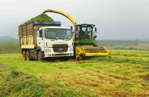 Xe thu hoạch cỏ