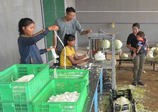 Vợ chồng anh Takano hướng dẫn nhân viên cách gọt bầu tươi để phơi sấy