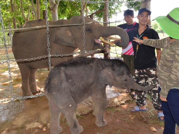 June và Gold thân thiết với cả nhóm bảo mẫu