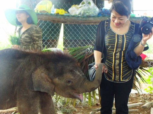 Bắt tay hay bắt vòi