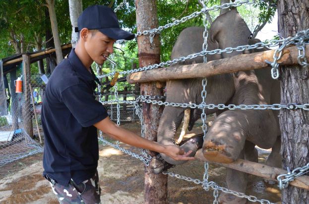 June đưa chân đau cho anh Phú kiểm tra