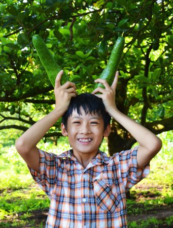 Bơ dài như cái sừng