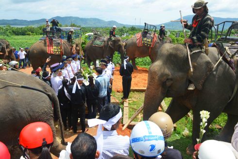 Đội voi đi 3 vòng quanh linh cữu
