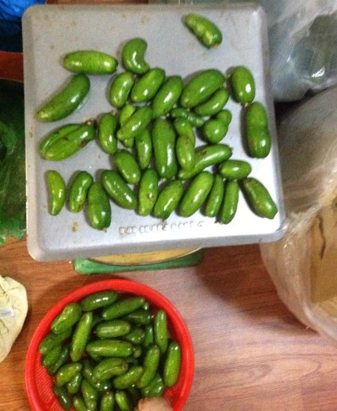 Lại còn có loại bơ không hạt tí hon