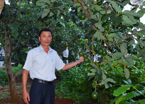 Ts Hoàng Mạnh Cường giữa hàng bơ Booth