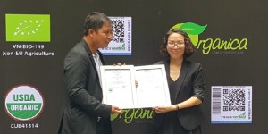 trai-rau-long-thanh-dat-chung-nhan-rau-huu-co-dau-tien