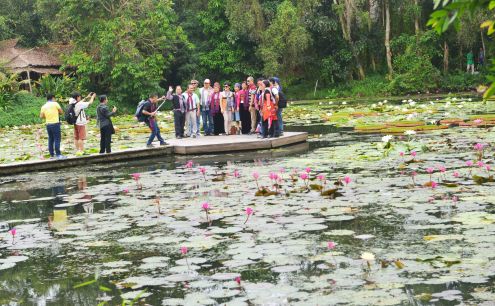 Những đầm hoa súng muôn màu của Đồng Tháp níu chân du khách vùng Tây Bắc