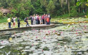 Những đầm hoa súng muôn màu của Đồng Tháp níu chân du khách vùng Tây Bắc