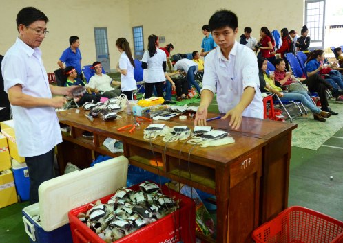 Những thùng máu đầy lên vẫn còn nhiều người chờ đến lượt hiến