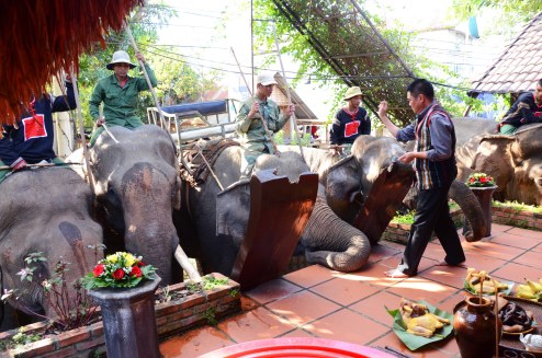 Ông Long thực hiện các nghi thức cúng sức khỏe cho đàn voi nhà
