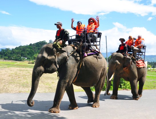 Điểm du lịch huyện Lắk được kêu gọi đầu tư thành Dự án du lịch tầm quốc gia